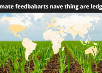Climate Feedbacks Enter the Economic Ledger: CO2 and Heat Reshape Crop Output in a Global Model