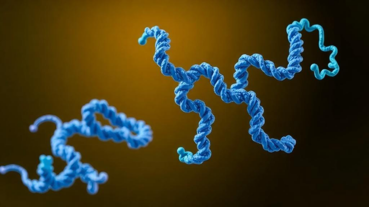 AI Can Predict Protein Structures Brilliantly, But a New Review Asks Whether Biology Can Trust It