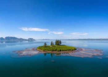 Giant Viruses Shape Lake Ecosystems Across Europe, Study Finds