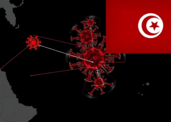 Tunisia’s Flu Surveillance Network Tracked Four Years of SARS-CoV-2 Evolution