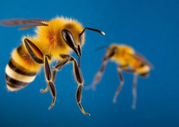 Bee Venom Enzyme Shows Potent Activity Against Leishmania Parasites in Lab Tests