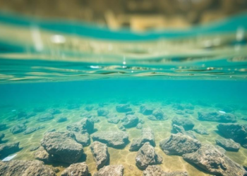Industrial Runoff Leaves a Measurable Microplastic Signature in Fiji’s Coastal Waters