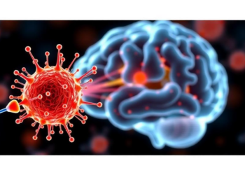 Folate-tipped nanoparticles offer a new route into stubborn brain tumors