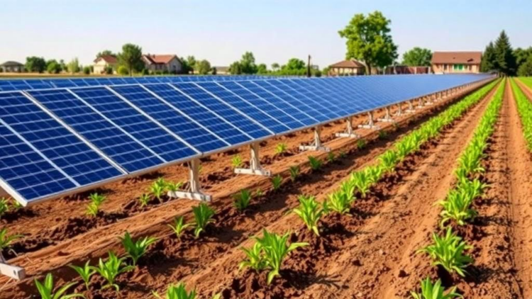 AI-Powered Solar Irrigation Framework Cuts Water Use by Nearly 29 Percent in Simulation