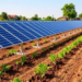 AI-Powered Solar Irrigation Framework Cuts Water Use by Nearly 29 Percent in Simulation