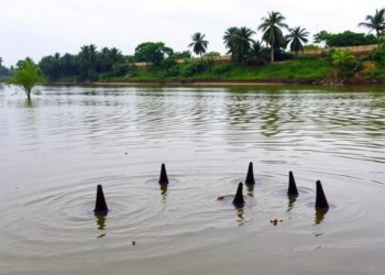 Monsoon Rains Drive Toxic Metal Spikes in Chennai’s Drinking Water Reservoir, Study Finds