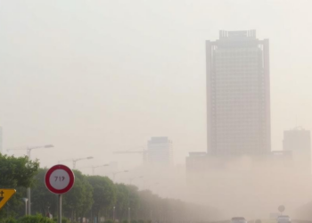 When Heat Meets Haze: Hot Days Plus PM2.5 Prove Deadliest Combination for Heart and Lung Deaths
