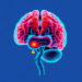 Radiosurgery Boosts Survival in Small Cell Lung Cancer Brain Metastases Without Cognitive Trade-Off