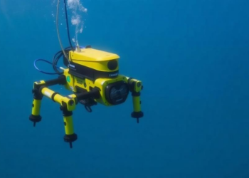 From Lab Tanks to Open Ocean: Why Underwater Robots Still Struggle in the Real World