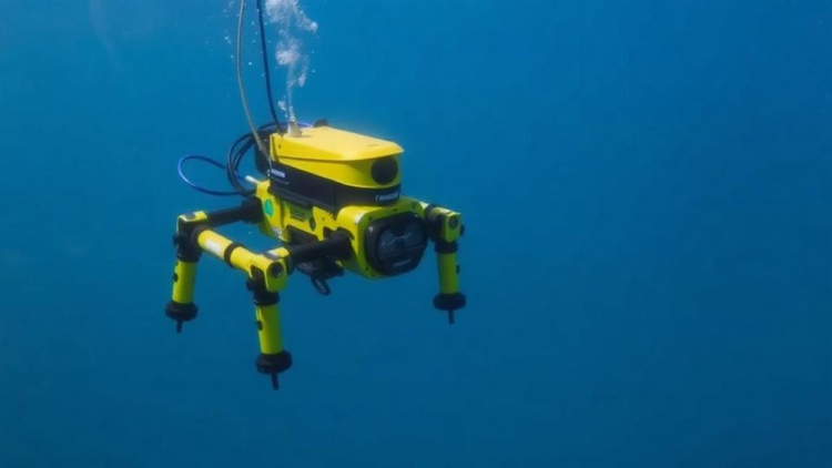 From Lab Tanks to Open Ocean: Why Underwater Robots Still Struggle in the Real World