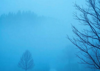 Winter Haze Chemistry: Particle Water Drives Organic Nitrogen Into Aerosols