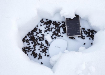 Snow Creep Experiments Reveal Two Temperature Regimes That Models Have Missed