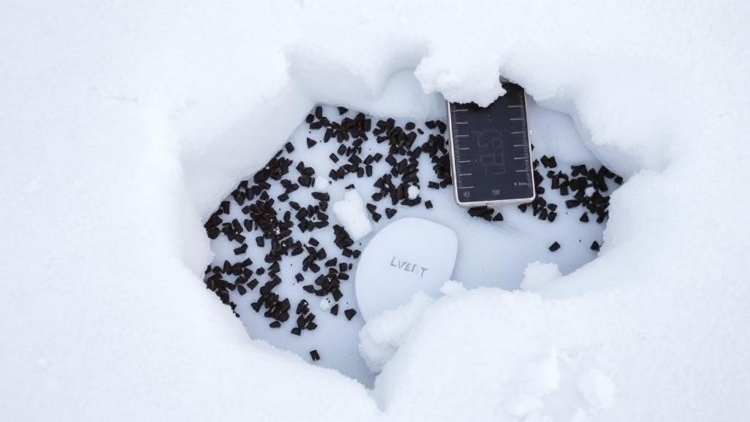 Snow Creep Experiments Reveal Two Temperature Regimes That Models Have Missed