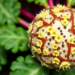 Zinc and Magnesium Nanoparticles Offer a Greener Shield Against Sugar Beet’s Worst Fungal Disease