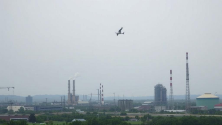 Industrial Air Pollution in Louisiana’s Chemical Corridor Linked to Higher Odds of Severe Infant Heart Defects