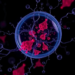 CoQ10 Restores Aging Megakaryocyte Function Through a Newly Identified Autophagy Pathway