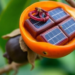 From Fruit Waste to Solar Cells: Mangosteen Peel Emerges as a Multitasking Bioresource