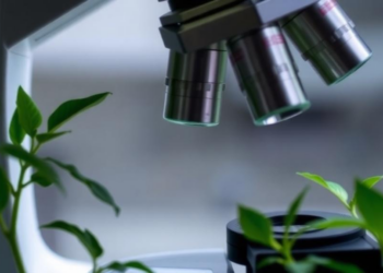 AI Fails at Reading Plant Cells Under the Microscope, New Benchmark Reveals