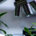 AI Fails at Reading Plant Cells Under the Microscope, New Benchmark Reveals
