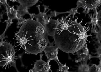 Digital twin from a single micrograph reveals invisible stress and chemistry around dislocations