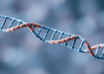 Antidepressants Linked to Lower DNA Damage From Oxidative Stress in Large Human Study