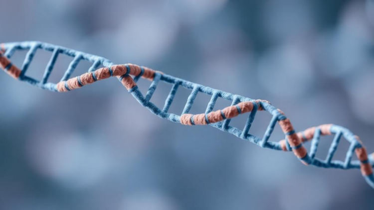 Antidepressants Linked to Lower DNA Damage From Oxidative Stress in Large Human Study