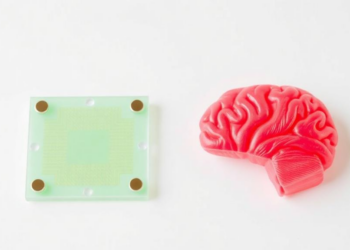 Paper-Based Sensor Detects Alzheimer’s and Parkinson’s Biomarkers in One Test