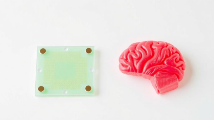 Paper-Based Sensor Detects Alzheimer’s and Parkinson’s Biomarkers in One Test