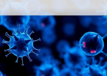 Immune Signal IL-18 Supercharges Rare T Cells for Solid Tumor Therapy
