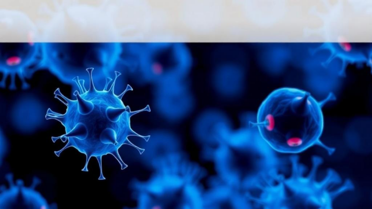 Immune Signal IL-18 Supercharges Rare T Cells for Solid Tumor Therapy