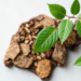 Journal Opens Global Call for Research on Nature’s Resilience Under Change