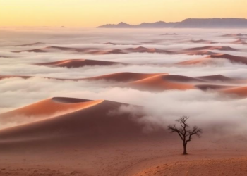 High-Pressure Systems Decide Whether Namib Desert Fog Touches the Ground