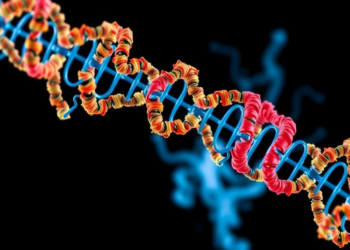 Blocking a Mitochondrial Fission Protein Could Strip Head and Neck Cancers of Radiation Resistance