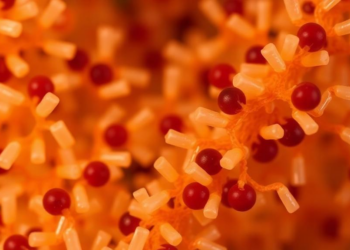 Hidden Chemistry of Philippine Plant Microbes Revealed by Exometabolomic Fingerprinting