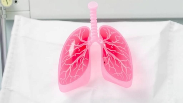Faster PCR Results in Ventilator-Associated Pneumonia May Not Speed Up Antibiotic Decisions