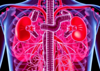 Machine Learning Reveals Three Diabetes Patient Types Shaping Heart and Kidney Drug Choices