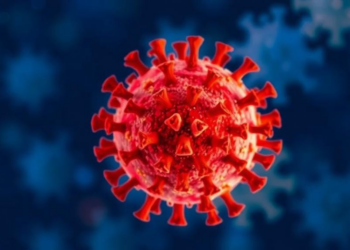 Two Transplants, One Immune Rebuild: Letermovir Shields a Rare Immunodeficiency Case