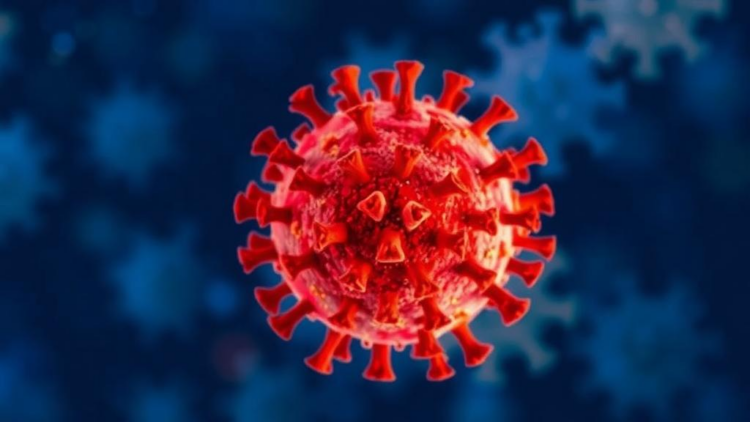 Two Transplants, One Immune Rebuild: Letermovir Shields a Rare Immunodeficiency Case