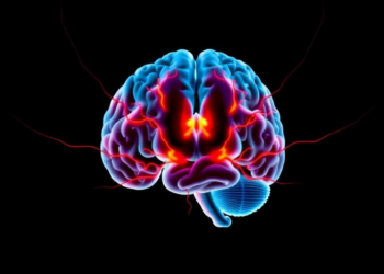 Brain Wiring Goes Off-Balance in Adult ADHD, Advanced MRI Reveals