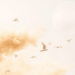 Gentle Winds, Not Calm Air, Sweep the Most Dust From the Sky