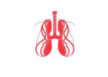 Diabetes Is Quietly Undermining Tuberculosis Treatment in Southeastern China