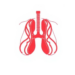 Diabetes Is Quietly Undermining Tuberculosis Treatment in Southeastern China