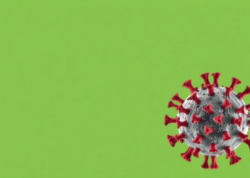 Aging Blunts Non-Spike T Cell Defenses After COVID Vaccines and Breakthrough Infection