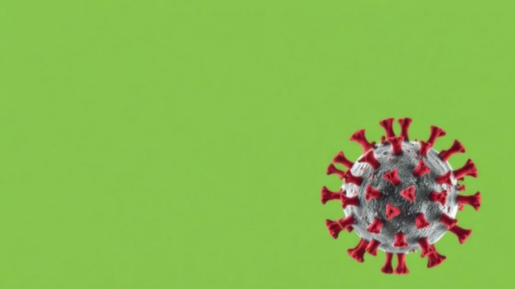 Aging Blunts Non-Spike T Cell Defenses After COVID Vaccines and Breakthrough Infection