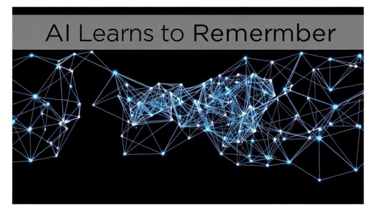 AI Learns to Remember: Topology-Guided Transfer Boosts Cross-Domain Action Recognition