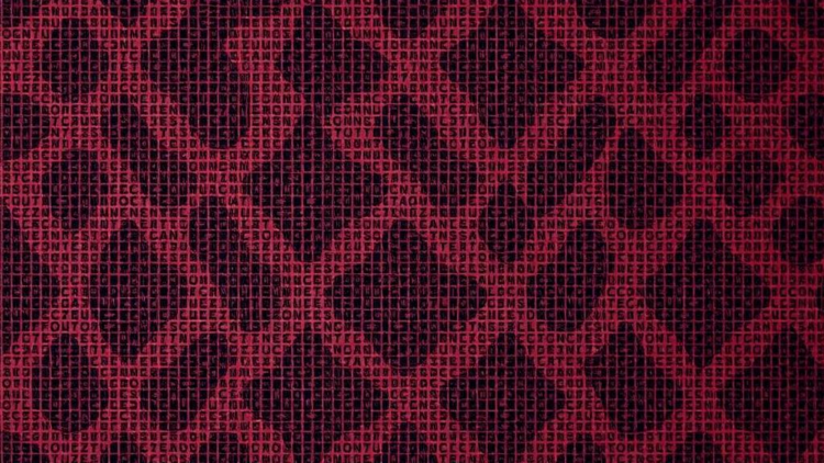 Hidden in Plain Sight: Random Pixel Selection Sharpens Image Steganography