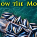Follow the Money: Two Decades of Research Reveal How Finance Shapes the Fate of the World’s Fishing Communities