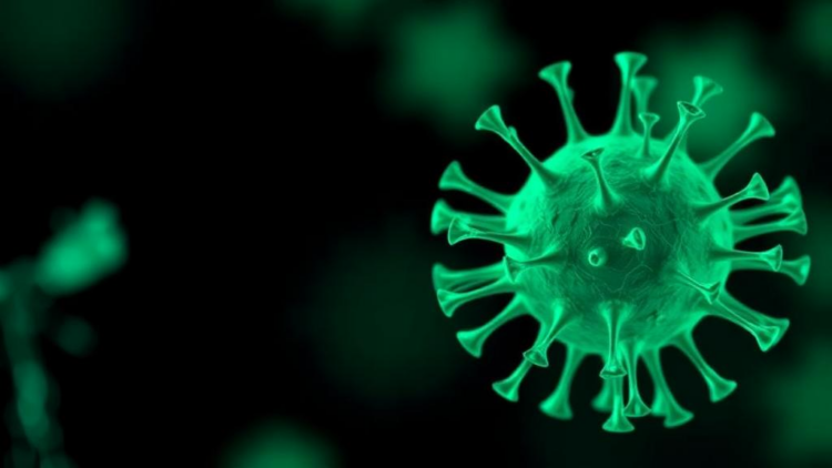 Plant Compound Hecogenin Emerges as Top Computational Candidate Against Epstein–Barr Virus