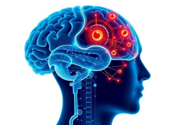 New AI Network Reads Brain Signals to Decode Imagined Movements with Record Accuracy
