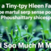 How a Tiny Protein Family Lets Plants Sense Phosphate and So Much More